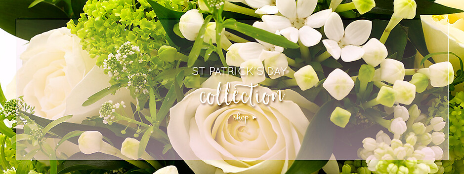 St. Patrick's Day Banner