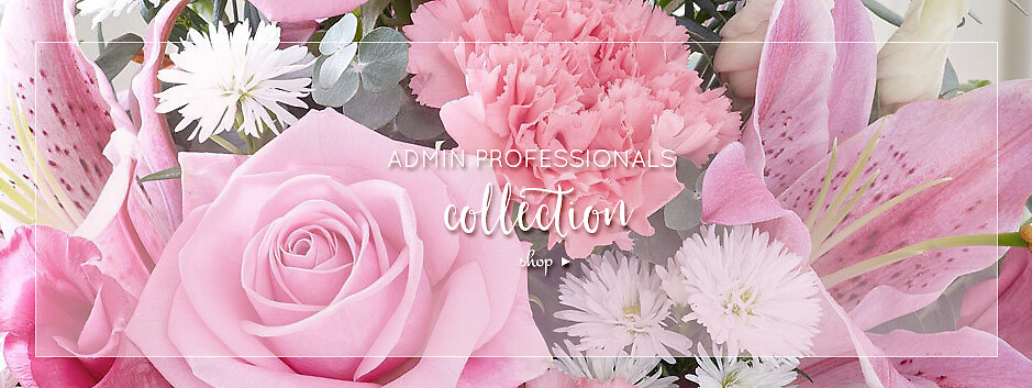 Admin Professionals Banner