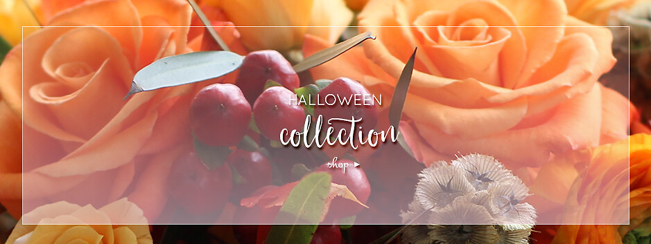 Halloween Banner